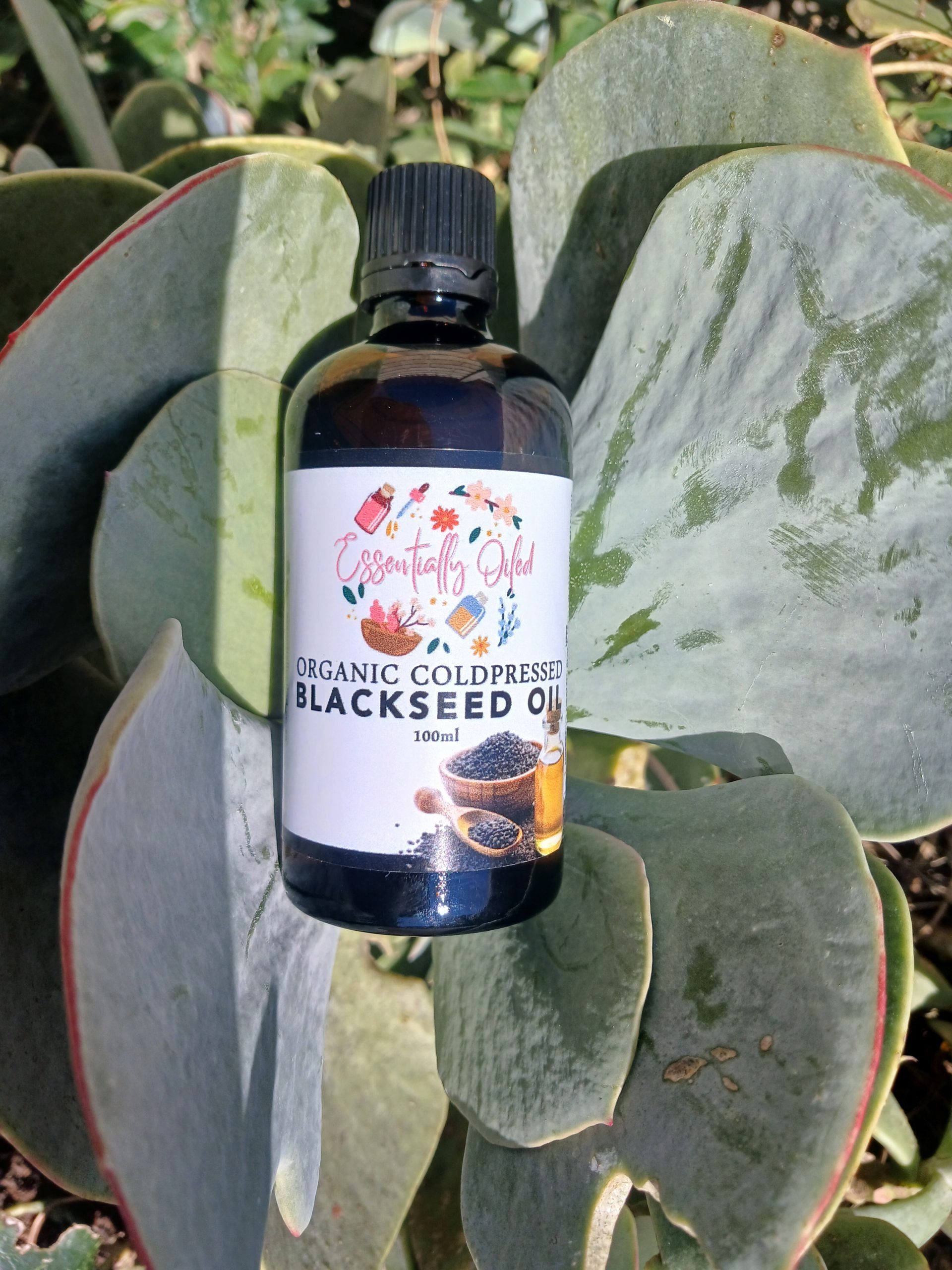 Organic Blackseed oil
cold-pressed