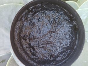 charcoal Scrub